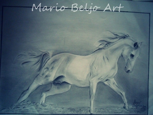 Upoznajte Maria Belju, mladog ramskog umjetnika