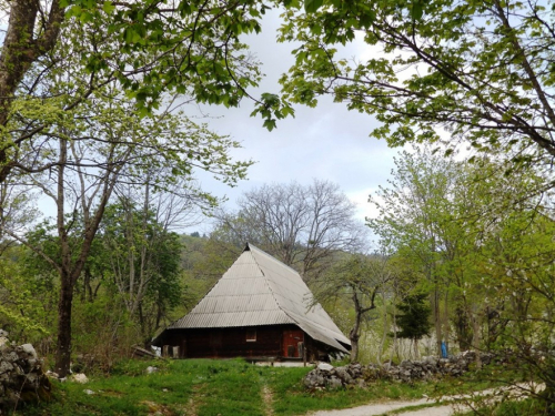 FOTO: ''Škola u prirodi'' na planini Draševo