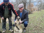 Neobična prinova: Janje s pet nogu
