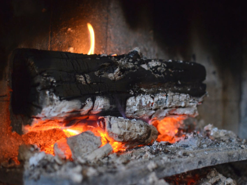 Drveni pepeo u vrtu: Kako ga pravilno koristiti i izbjeći pogreške