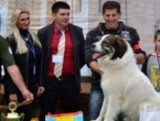 Tornjak iz Livna osvojio prvo mjesto na World Dog Showu