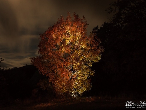 FOTO: Zlatna jesen na planini Draševo