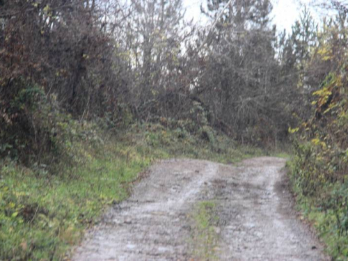 Čišćenje odrona na cesti Prozor-Jablanica trajat će još nekoliko dana!