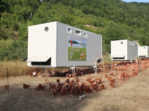 FOTO: Pokretna farma koka stigla u Ljubunce, evo gdje možete kupiti jaja