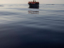 Više od 2.500 ljudi umrlo ili nestalo na Mediteranu u 2023.
