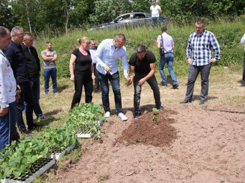 FOTO: Udruga ''Naša zemlja'' Jurići započela probnu poljoprivrednu proizvodnju