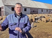 Bivši načelnik Kupresa napravio najbolju farmu ovaca u BiH