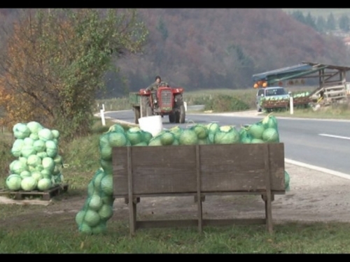 Tradicija proizvodnje kupusa u gornjovrbaskoj regiji