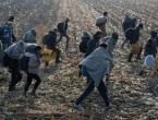 Vijeće ministara optužuje Srbiju i Crnu Goru da migrante preusmjerava u BiH! VIJESTI