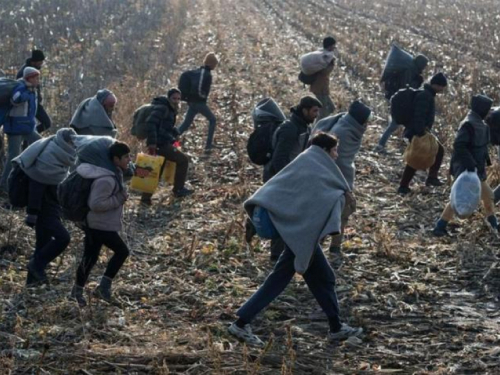 Vijeće ministara optužuje Srbiju i Crnu Goru da migrante preusmjerava u BiH! VIJESTI