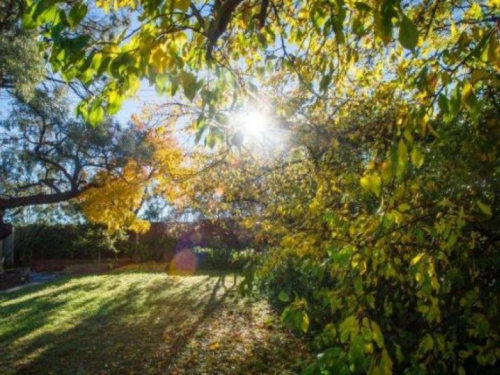 Sunčano i toplo, temperatura do 33 stupnja Celzijeva