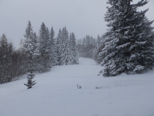 FOTO: Vjetar i snijeg gospodari na Raduši