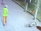 Bizarna snimka iz Kine: Mačka pala na glavu starcu i onesvijestila ga