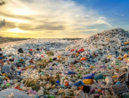 Antarktički mikrobi koji jedu gorivo mogli bi pomoći u čišćenju plastike