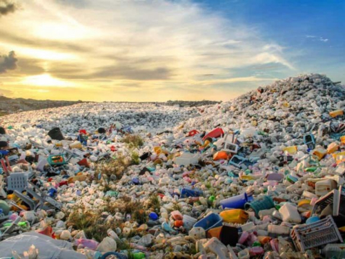 Antarktički mikrobi koji jedu gorivo mogli bi pomoći u čišćenju plastike