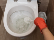 Ovaj predmet u WC-u svi koristimo, ali ga rijetko čistimo kako treba