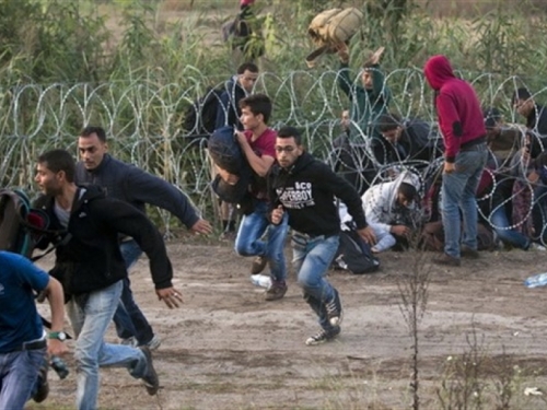 Migranti u Vojvodini krivi za provale, krađe, uništavanje i palež