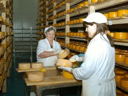 Počinje izvoz: Livanjski sir na tržištu EU već od ponedjeljka