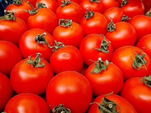Prihranite rajčice kako bi bile sočne i ukusne