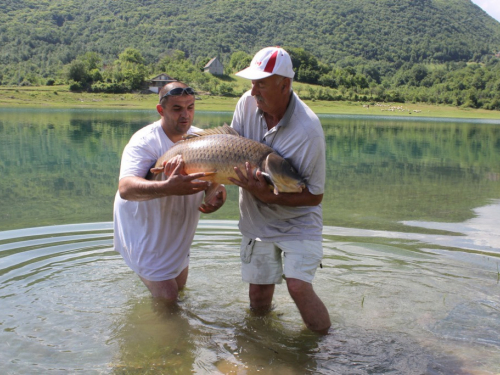 FOTO/VIDEO: U Ramskom jezeru uhvaćen šaran kapitalac od 28,4 kg