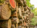 Poziv na predstavljanje najmodernijih njemačkih žičara za pridobivanje drva