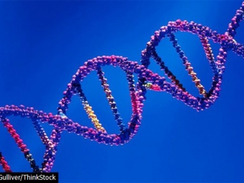 Kinezi izmijenili genome ljudskih embrija