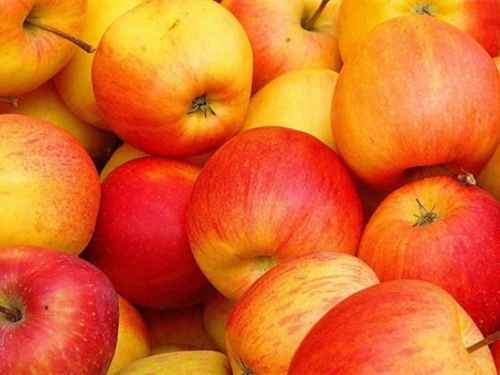 BiH Rusiji podvalila 19 tona jabuka iz Somalije