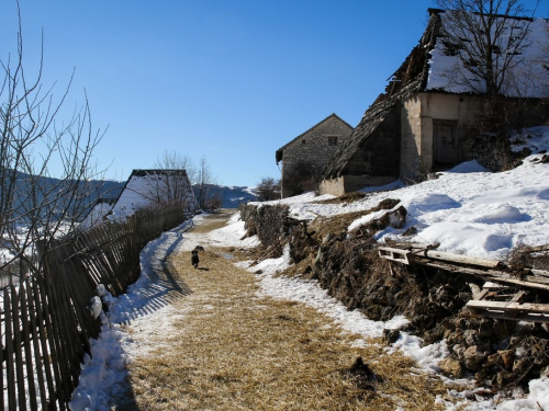 FOTO/VIDEO: Franjo odolijeva (ne)vremenu i svim životnim izazovima