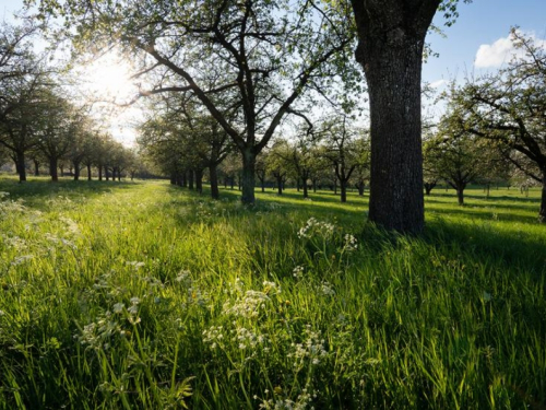 Vratilo nam se sunce, ali sa nižim temperaturama