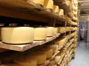 Livanjski sir: Što znači zaštita ako je proizvođača sve manje