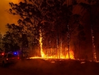 Razorni požari i ekstremne temperature mogli bi postati uobičajeni