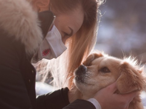 Matea i Mario Beljo: Voljeli bismo posao fotografiranja podignuti na višu razinu