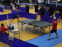 NAJAVA: 8. Međunarodni stolnoteniski turnir ''Rama open 2023.''