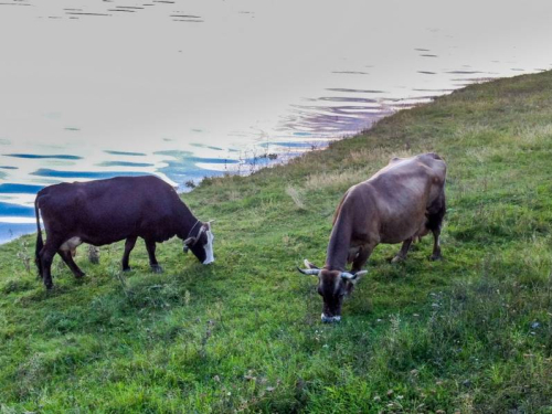 Ramsko jezero - neotkriveni biser Hercegovine