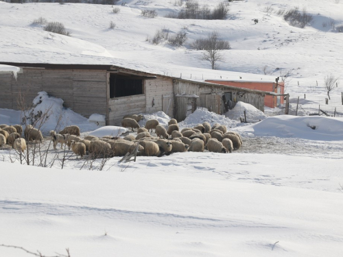 FOTO: Čuvari ''Ramskih vrata''