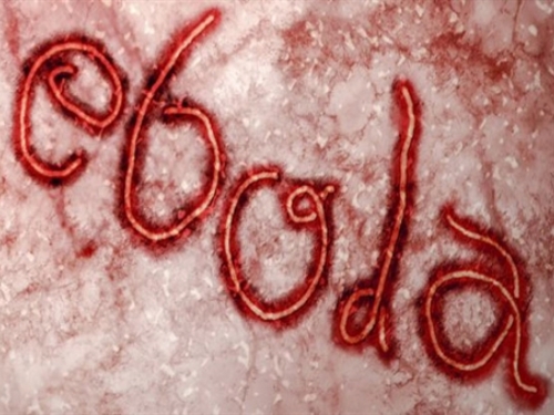 Ebola pod kontrolom