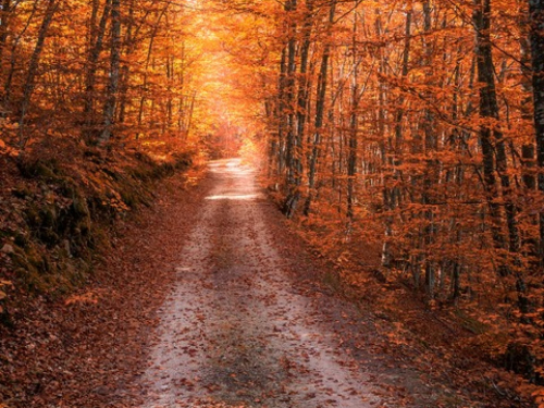 FOTO/VIDEO: Raskošna jesenska ljepota ramskih planina