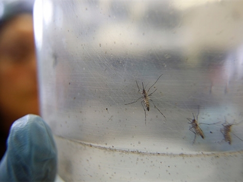 Revolucija: Znanstvenici otkrili DNK strukturu virusa zika