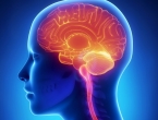 Usporavanje uobičajene brzine govora u starijih može ukazivati na zdravlje mozga