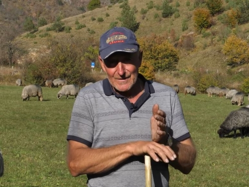 Video: Zahvaljujući ovcama Goran othranio sedmero djece