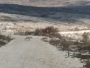 Vukovi rastrgali psa kod Tomislavgrada