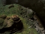 VIDEO: Pogledajte najveću pećinu na svijetu