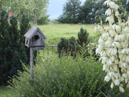 FOTO/VIDEO: Apartmani Jozić