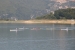 FOTO: Na Ramskom jezeru održana veslačka regata