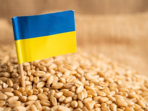 Ukrajina izvezla više žitarica nego u cijeloj prošloj godini
