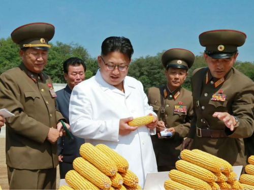 Susjedi tvrde da je Kim Jong-un živ i zdrav