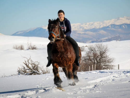 FOTO/VIDEO: Ljepota naizgled nespojivog