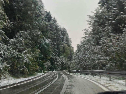 Ceste širom BiH većinom mokre, u višim predjelima zasniježene, ponegdje magla smanjuje vidljivost