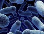 Pronađen način kako ubiti super bakteriju