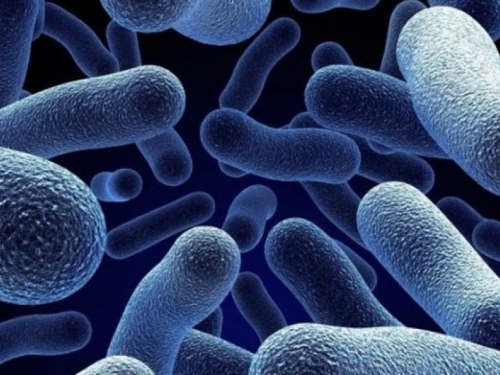 Pronađen način kako ubiti super bakteriju